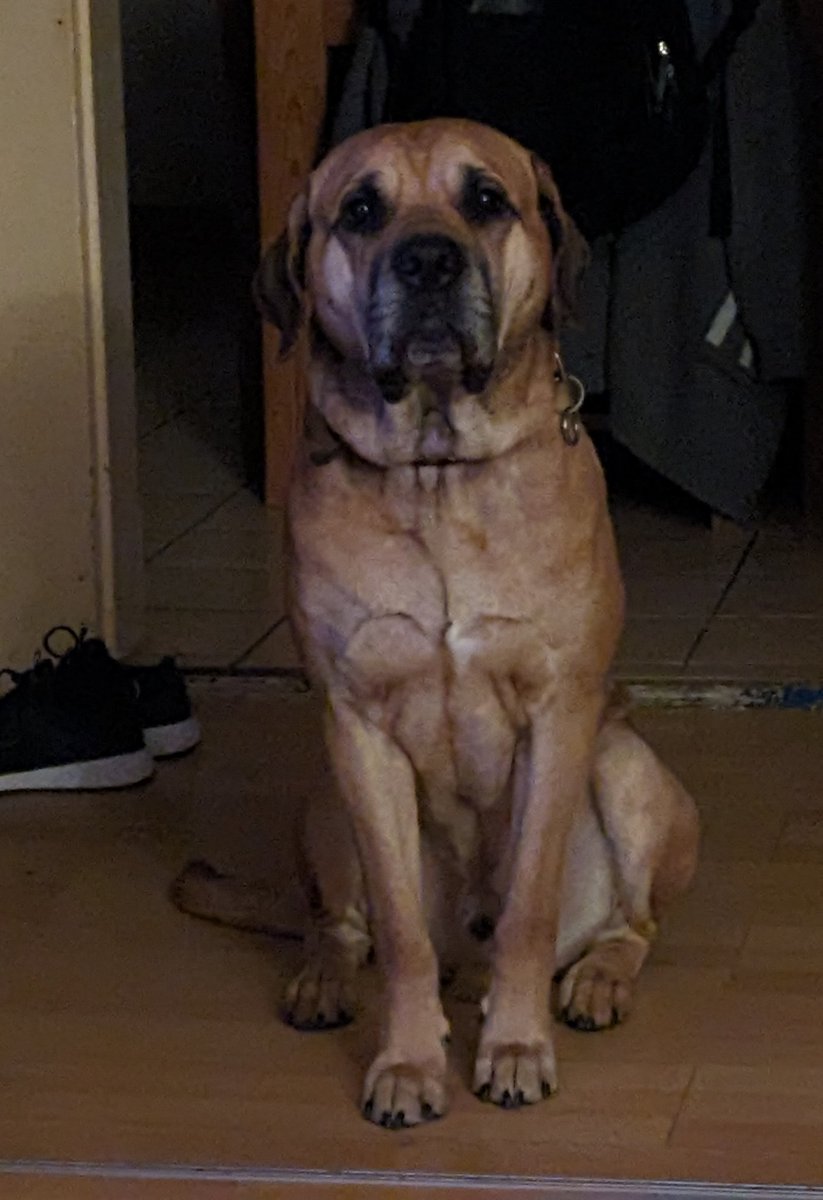 Was'n jetzt mit Abendgassi?! Kommst du jetzt, oder was?