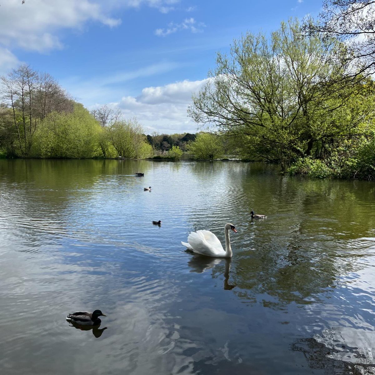 DCWinslow's tweet photo. Great morning on Allestree Park for the Birds Eye View event ๐ณ ๐ฆข ๐ #derbyparks #rewilding https://t.co/7BblO36SYI
