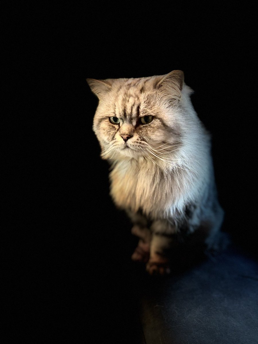 Joy Stempher tweet media