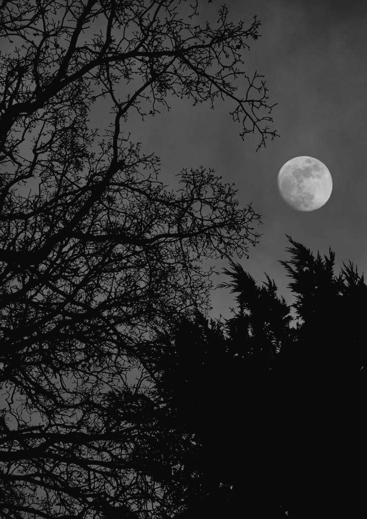 STARTER CALL ~

    (  ♡︎  )  for  a  gif  starter  
    retweet  to  spread  
    both  for  plotting  in  dm