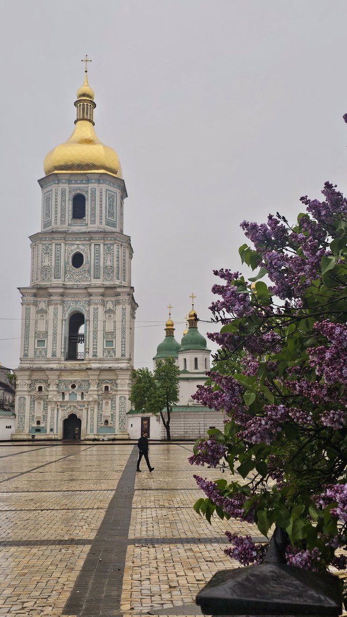 Sofiifska square and belltower in the background by a rainy day, a man crosses through the square. In the foreground, a lilac tree with violet flowers in bloom.