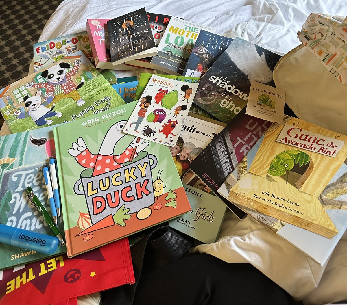 Little People Library Lady tweet media