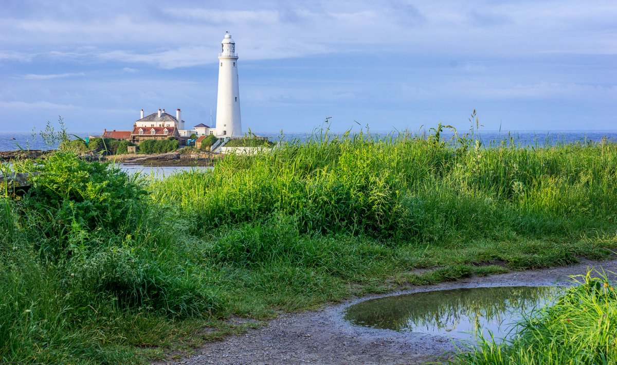 Where I love to walk. @Pexels #WhitleyBay #Northumberland #Newcastle