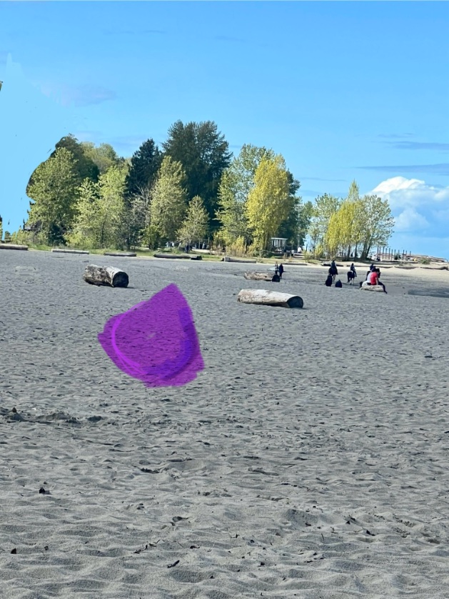 Cra1gRoberts's tweet photo. Resting beach face https://t.co/0o9TxfZLp9