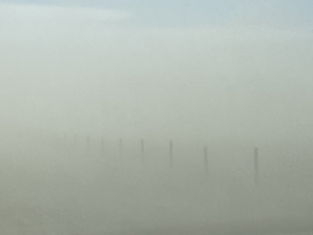 Ross McKenzie tweet media