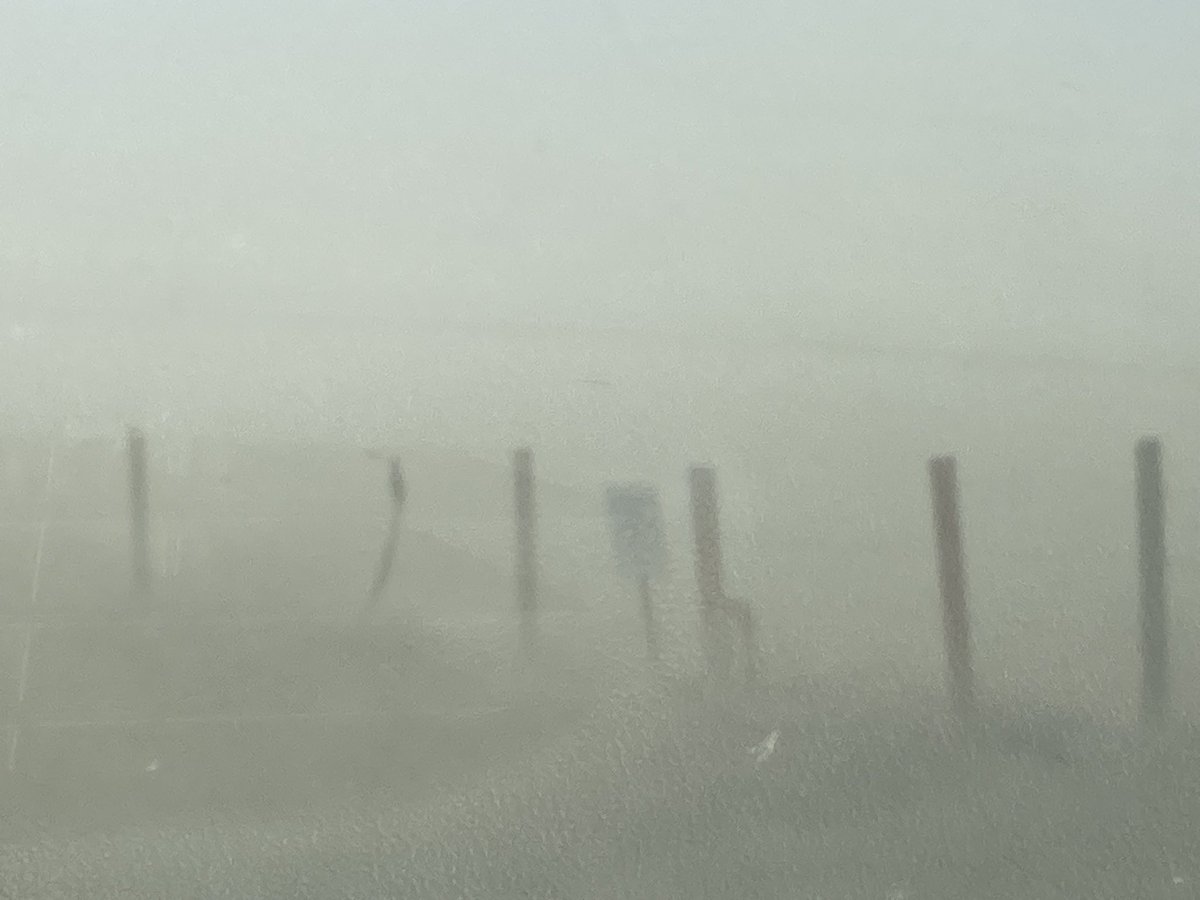 Ross McKenzie tweet media