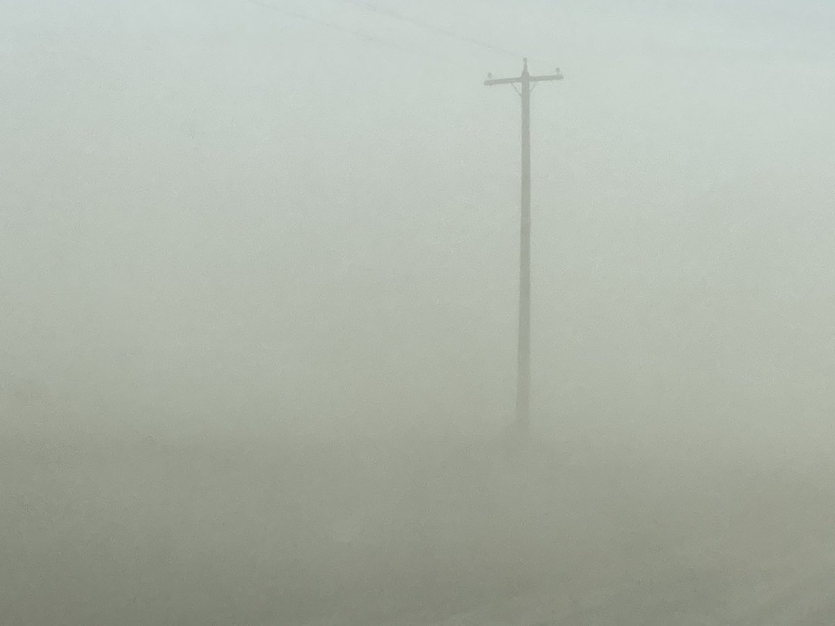 Ross McKenzie tweet media