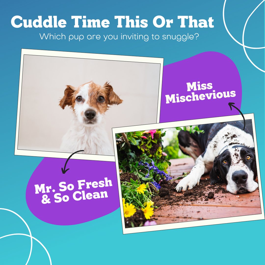 The choice seems obvious, right? Our pet wipes will allow you to clean up your beloved pet quickly, so cuddle time doesn’t have to be postponed!

#pawsome #squeakyclean #nuestapets #happypetsmakehappyhumans #thenuestaway #petsandpals #petcleaningwipes #bestwoof #doglove #doggo