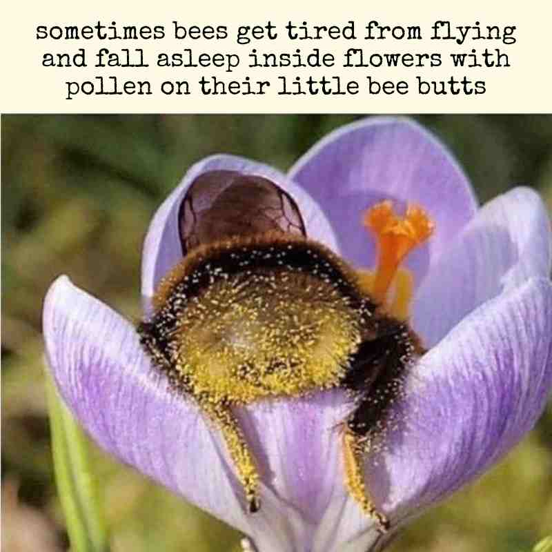 Christina Bauer tweet media