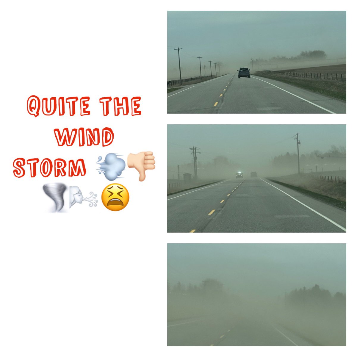 CoryJoy's tweet image. Gio. Moms crazy 😜 &amp;amp; she ventured out in this crazy wind storm 🤦🏻‍♀️#windstorm