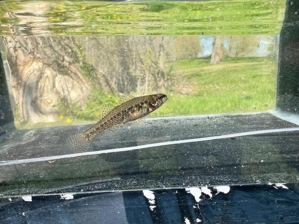 Paul DeRolf tweet media