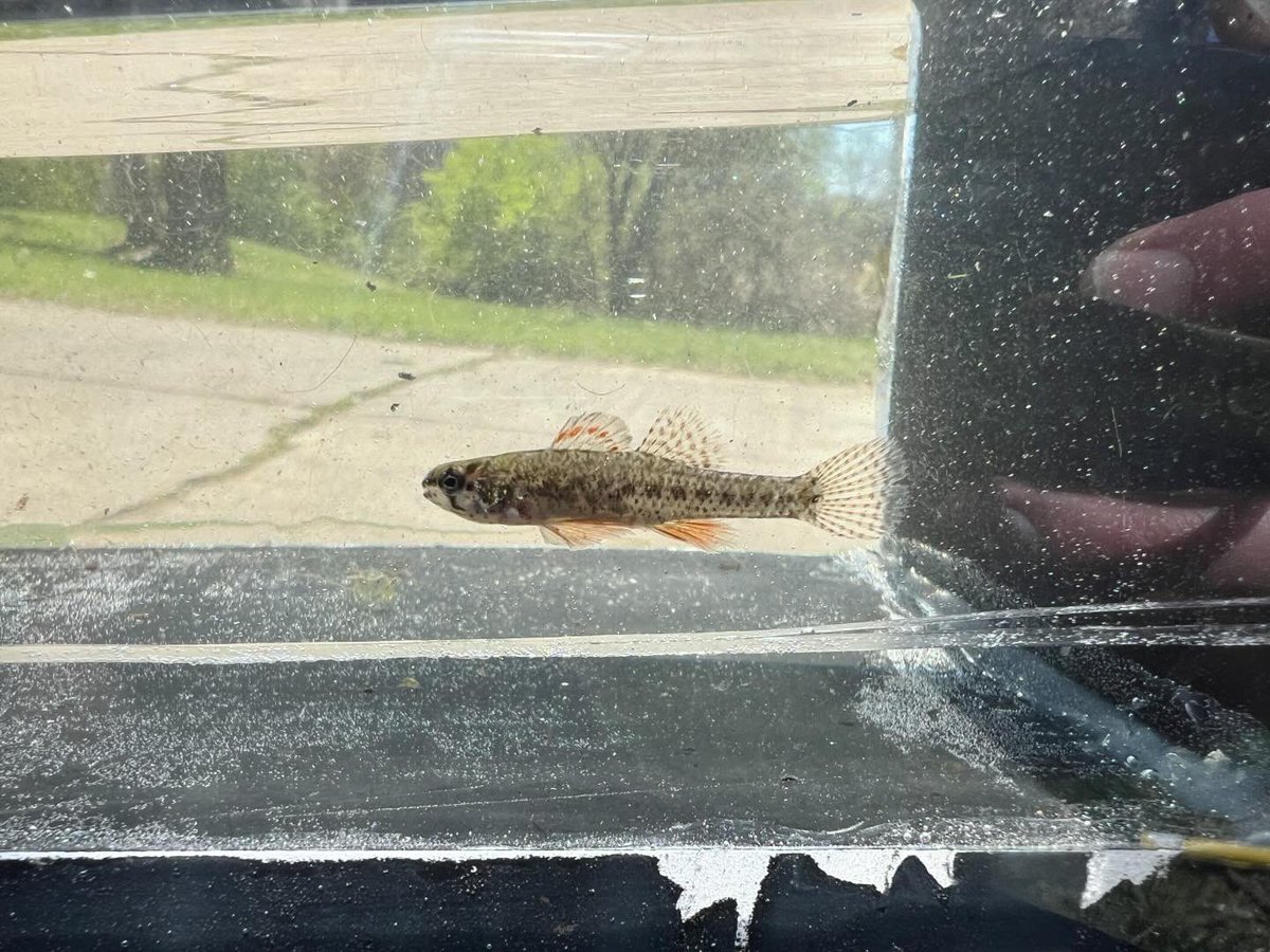 Paul DeRolf tweet media