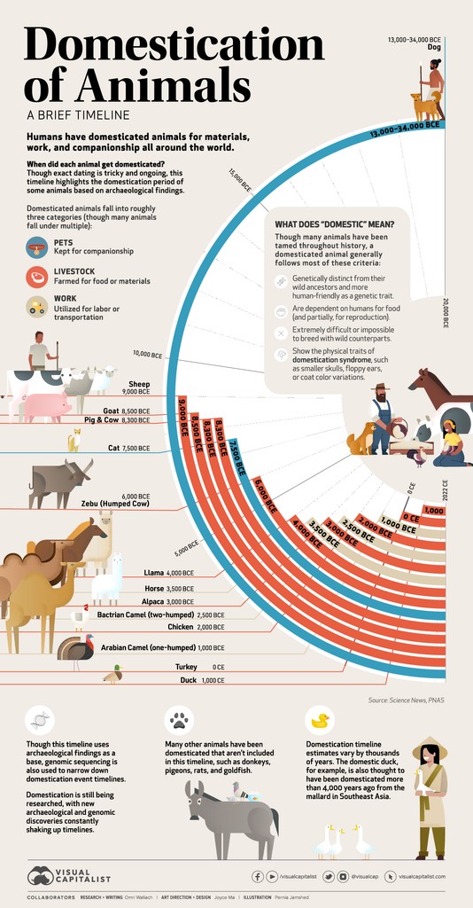 Timeline: The Domestication of Animals 🐩 From the archive: visualcapitalist.com/the-domesticat…