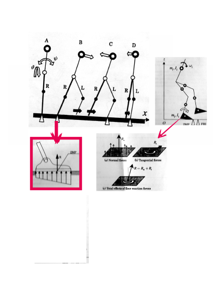 ASIMOにおける #摺り足歩行 の半周期は直立姿勢から前傾姿勢になり一方の足を擦りだす動き、前傾姿勢から直立姿勢に復帰し、他方の足を擦りだす動きからなる。これらで進行方向にピッチ角ψで倒れ、肩幅方向にロール角ϑで揺れる。これらψ,ϑをもたらすモーメントの支点として  #ZMP を算出する。