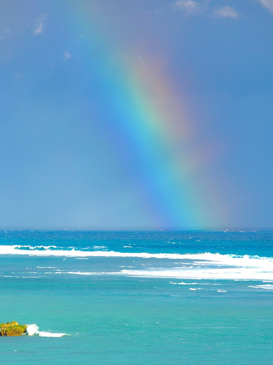石垣島の海に虹

この投稿をご覧になった方は
きっと幸運の1週間になるでしょう🌈

癒しの沖縄離島