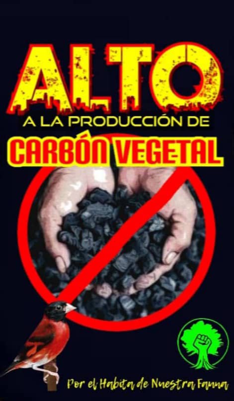 AnahysDb's tweet photo. El Estado Venezolano no debe propiciar actividades productivas que favorezcan la destrucción de los Ecosistemas y muy especial el xerófito, por ser este muy frágil. 

#RevocatoriaDePermisosParaCarbónYa!

#NoHayLugarComoElHogar
 #DiaDeLaTierraNoMásCarbónEnLara https://t.co/GMlazBMvyo