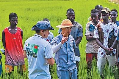 China-Africa cooperation in agriculture continues to deepen: english.news.cn/20240420/f008e…