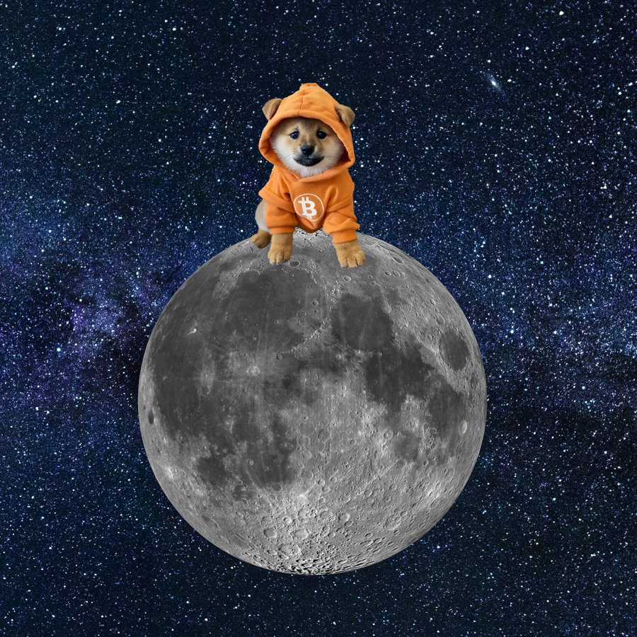 GUNMY (@vikihallstaff) on Twitter photo <a href="/SSundarmrs/">Sundar Sundarmrs ❤️ Memecoin</a> <a href="/LeonidasNFT/">Leonidas 🧡 $DOG</a> This is the face that can onboard a billion people to Bitcoin
Follow next steps🗳️:
1. Visit: snapshot-rune.dog
2. Click on "Get Snapshot"
3. Sign in by connecting your wallet and set gas fee
The world needs freedom money ASAP <a href="/SSundarmrs/">Sundar Sundarmrs ❤️ Memecoin</a> <a href="/LeonidasNFT/">Leonidas 🧡 $DOG</a> This is the face that can onboard a billion people to Bitcoin
Follow next steps🗳️:
1. Visit: snapshot-rune.dog
2. Click on "Get Snapshot"
3. Sign in by connecting your wallet and set gas fee
The world needs freedom money ASAP