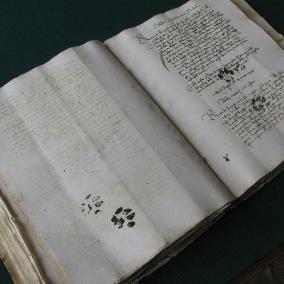 "Cats have been messing shit up since the dawn of time" is my favorite brand of archeology