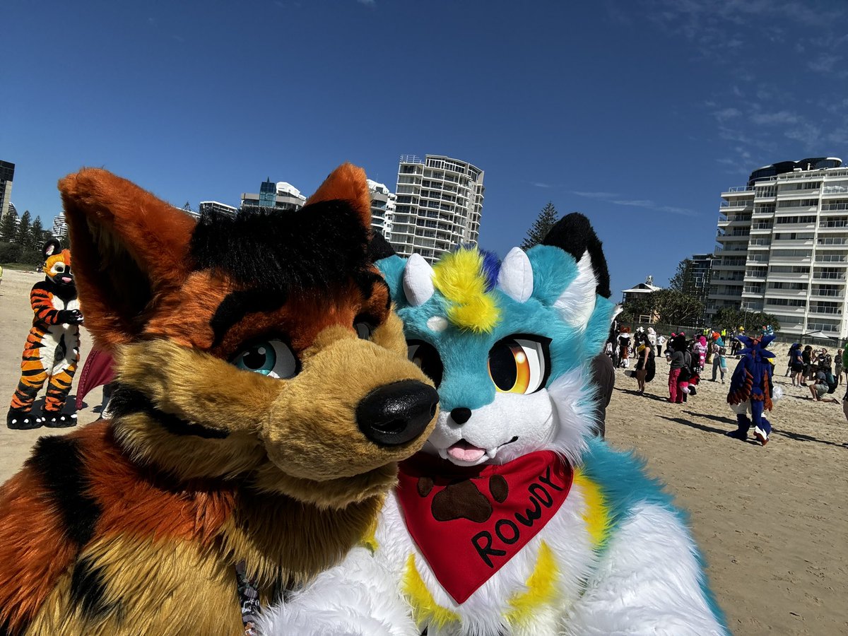 rowdy_drusky's tweet photo. Beach selfie 3! 🏝️

@ddocandtheta #FurDU24 https://t.co/vF4yFmlq8g