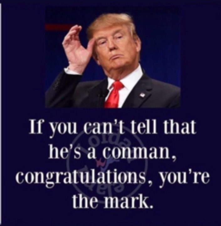 Rimmer's Yapping Dogs (@kgw683) on Twitter photo 