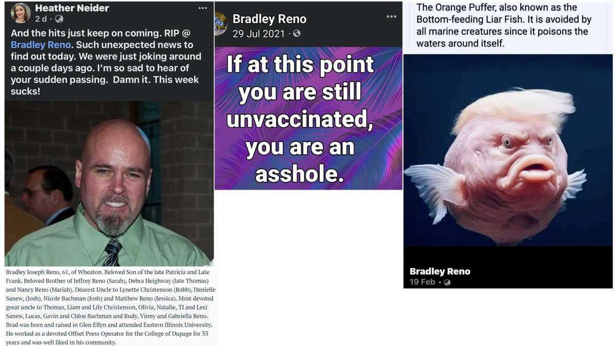 Wheaton, IL - 61 year old Bradley Reno died suddenly April 10, 2024.

Jul.29, 2021: 'If at this point you are still unvaccinated, you are an a**hole'

'was well liked in his community'

Victim of propaganda.
COVID-19 mRNA Vaccine deaths are at an all time high.

#DiedSuddenly