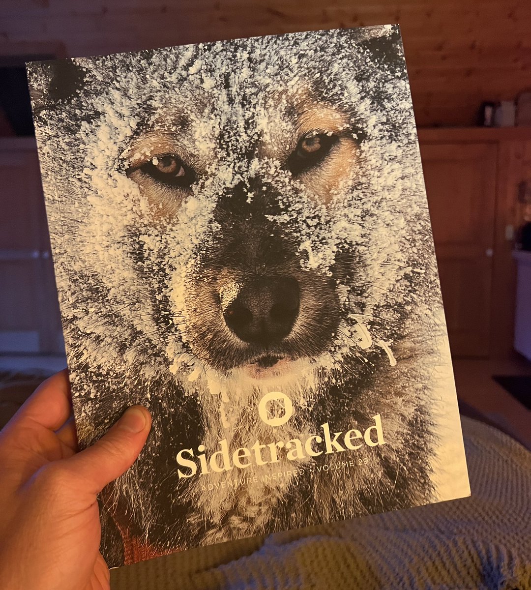 I forgot how much I love reading thoughtful + gorgeous print magazines like @SidetrackedMag Does anyone else still read print magazines and if so which ones?