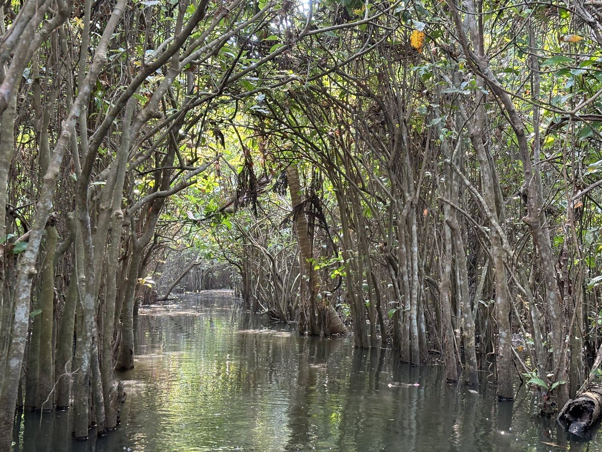 World Earth Day . #IndiAves  #Nature