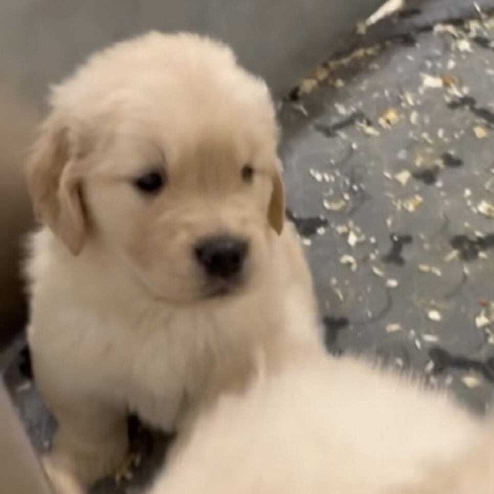 ตื่นมาใช้ชีวิตที่หดหุ่กังค่าบ