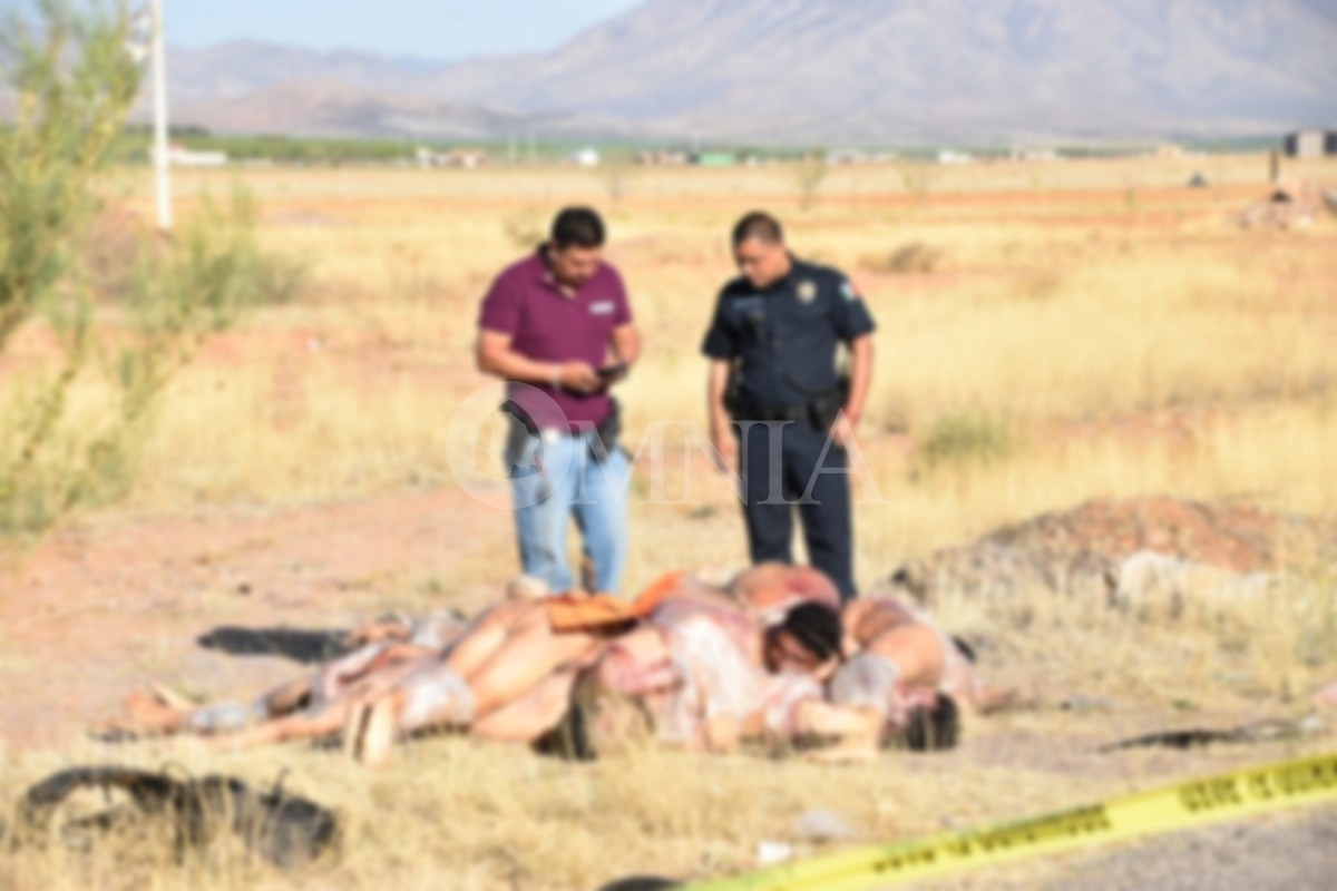 Tips en Cascada 22 de abril 2024

* SEA: manoseo nepotista?

* Morenistas a comparecer

* Juego de Sandra Gutiérrez

* 9 ejecutados y apilados

omnia.com.mx/noticia/317790/