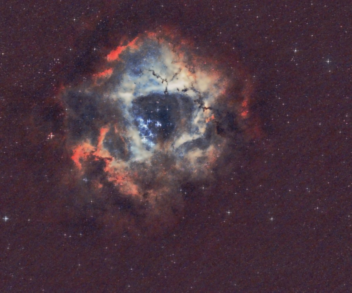 Michael Doubek tweet media