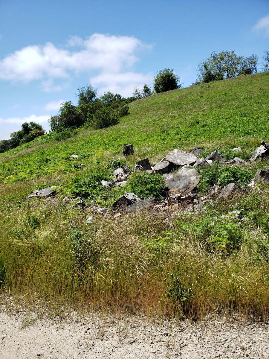 B.G. Hart tweet media