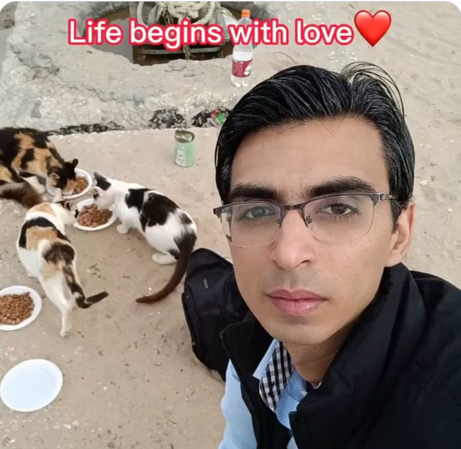 Remembering life prior to war😽Kindly continue aid for cats and humans alike. My Dear Friend @Lawyer_Animal1 displaced 5 times ending up in #Rafah, but continues to feed homeless cats in Rafah. Please share/donate via PayPal.me/help1animals or gofund.me/18cf1485