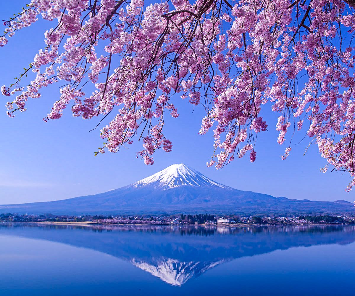 湖畔の春

河口湖で以前撮影

#富士山　#桜　#mtfuji