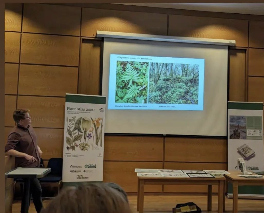 Delighted to have re-found Killarney Fern where it was 1st recorded in Co. Clare by Thomas Hughes Corry in 1879. I presented this and other recent fieldwork highlights at a fantastic @BSBI_Ireland Spring Conference 2024 yesterday at the National Botanic Gardens.