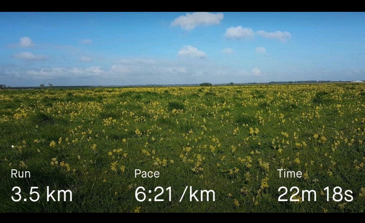 katysmith_20's tweet image. Short run this morning, round a local wildflower meadow for #wildflowerhour #cowslipchallenge

Millions!! 😮

#runningbotany #cowslips