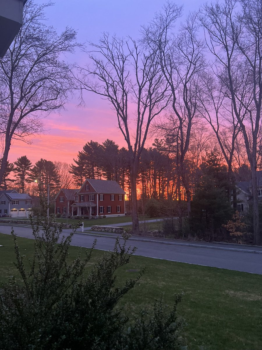 foundmycalling's tweet photo. Spring cherry blossom bloom and a gorgeous sunrise 🤗 https://t.co/QrLQGADxWH