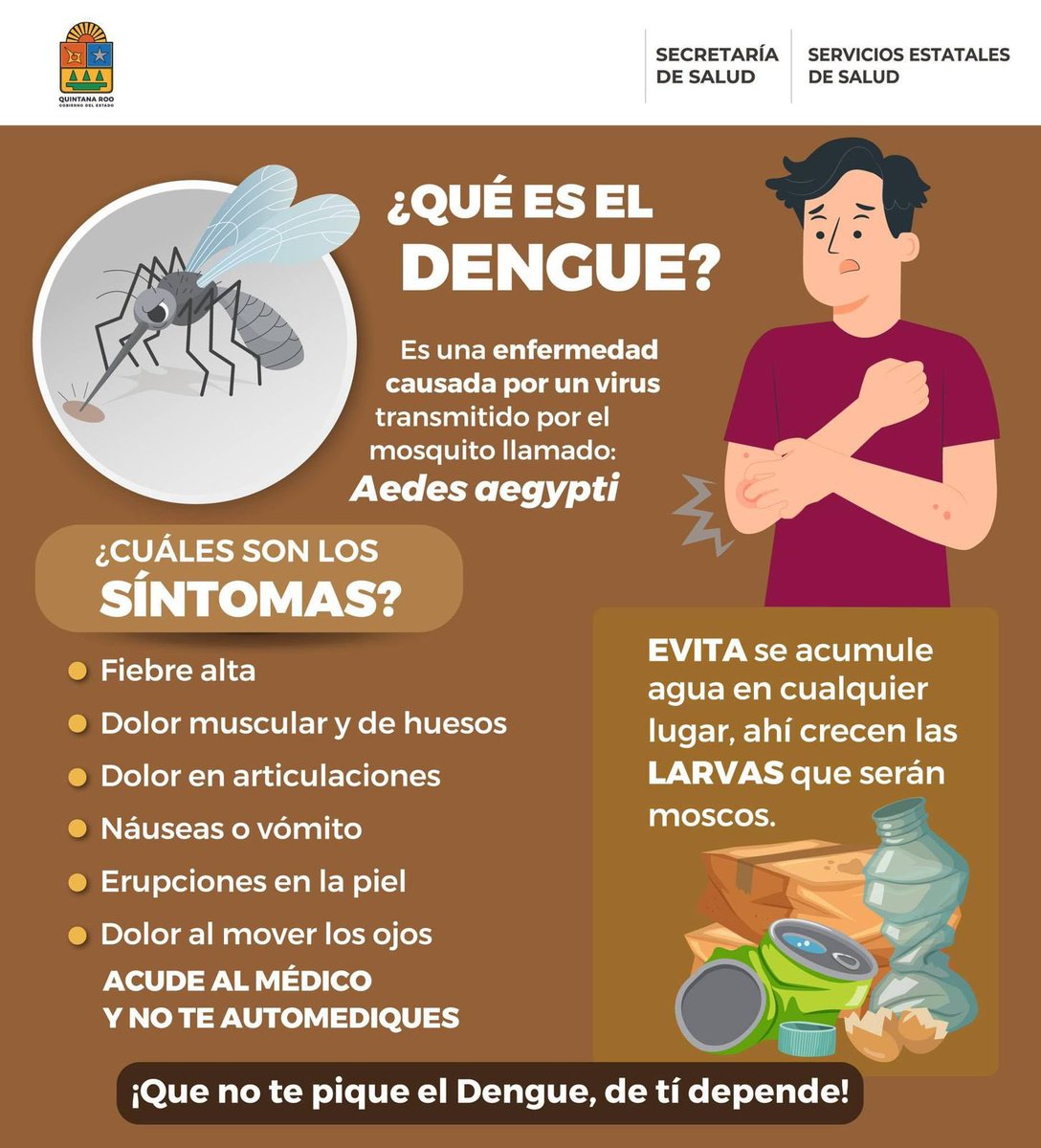 El dengue es una enfermedad transmitida por el mosquito aedes aegypti y juntos podemos prevenirla. Por ello es importante que conozcan los síntomas y sigan estas recomendaciones que emite la @SESA_QROO para evitar criaderos de mosquitos. 🦟 ¡Recuerda, la prevención es nuestra
