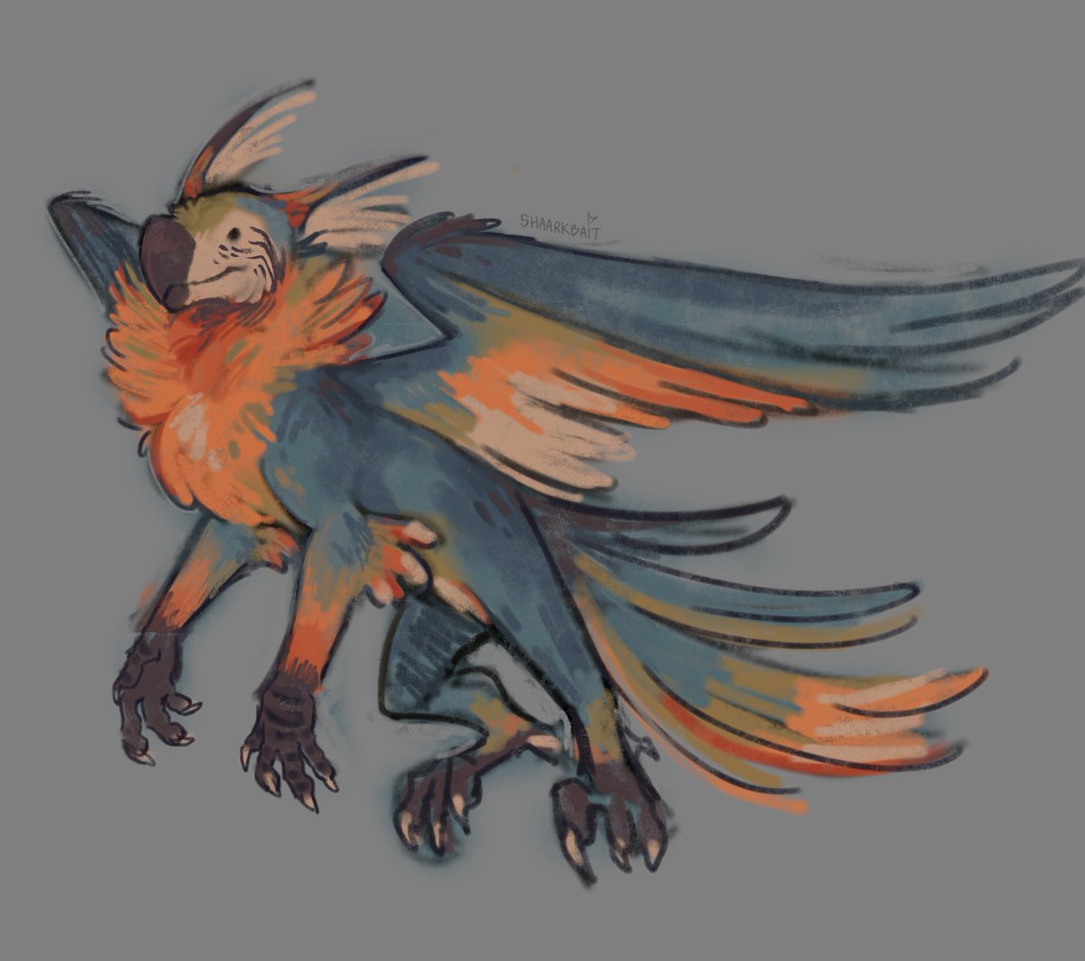 loose 45 minute scribble for a monthly challenge in @/finchwing's server! the prompt was to design a yellow n teal dragon so my brain immediately went to macaws