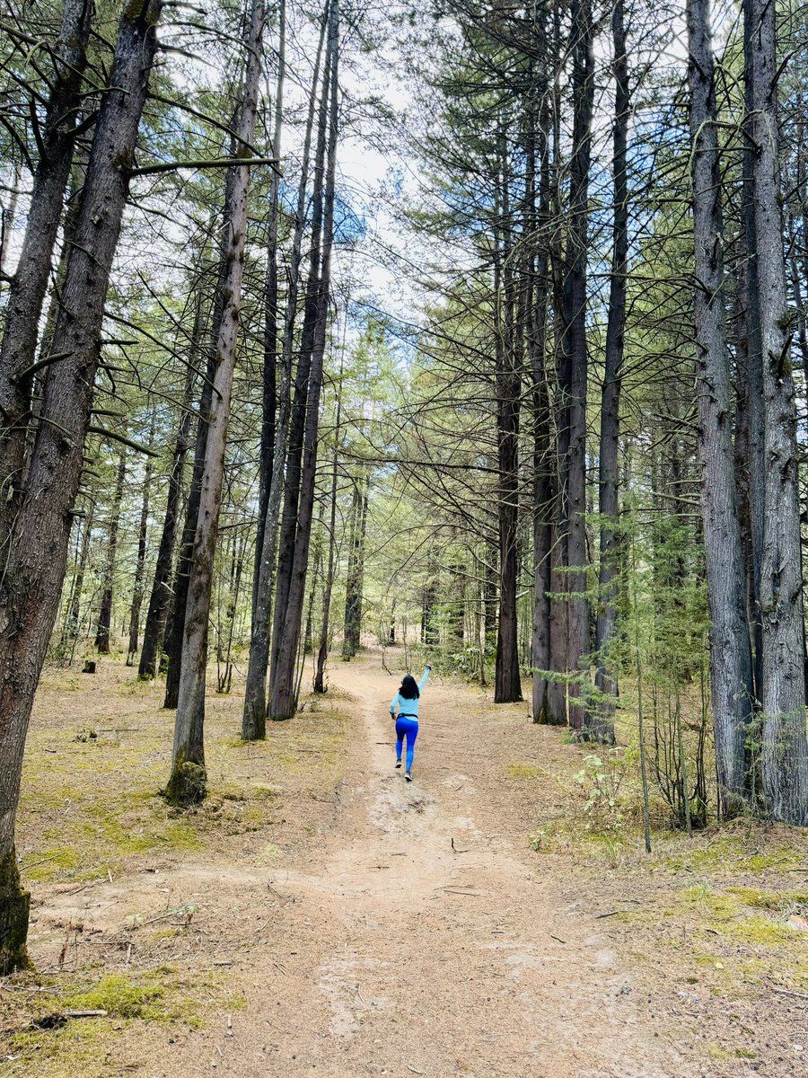 JOCARunning's tweet photo. Corriendo entre gigantes 💚🌲🏃🏻‍♀️🏃🏻‍♂️

.
.
.
.
#running #runninggirl #runninglife #correr #corredores #mountainrunning #trailrunning #loverunning #yoelegicorrer #run #jocarunning #jocamarografo #runningmexico #mountain #runninggirl #trepacerros #trailrunner #corredordemontaña https://t.co/836IexmV8G