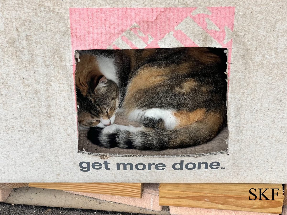 Skittles: Hello Everyone, as the CEO of Skittles and Friends here on this #CatBoxSunday I’m doing exactly what the Box Says by getting more naps done today, 😹💤💤💤😹 #CatsOfTwitter #Calico
