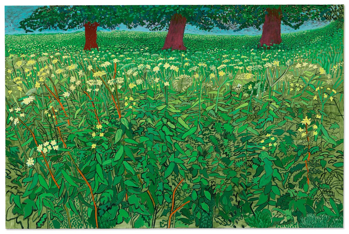 David Hockney - Queen Anne's Lace Near Kilham 💚