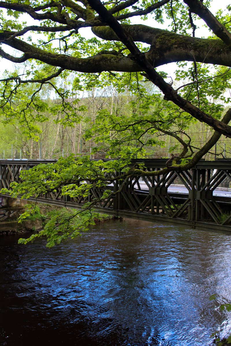 Cromwell Bottom Nature Reserve, Brighouse 🇬🇧

#photography #woodland #bridges #trees #spring #river