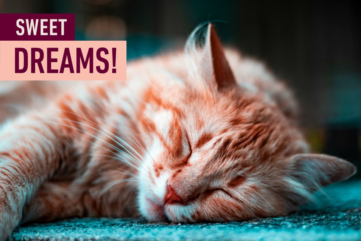 NaturoClips's tweet image. Healthy habits: Good quality #sleep leads to a healthier you! 😴 make the habit of having 7-8 hours of sleep every night to recharge yourself! #HealthySleep #SleepingHabits #HealthyLiving #QualitySleep