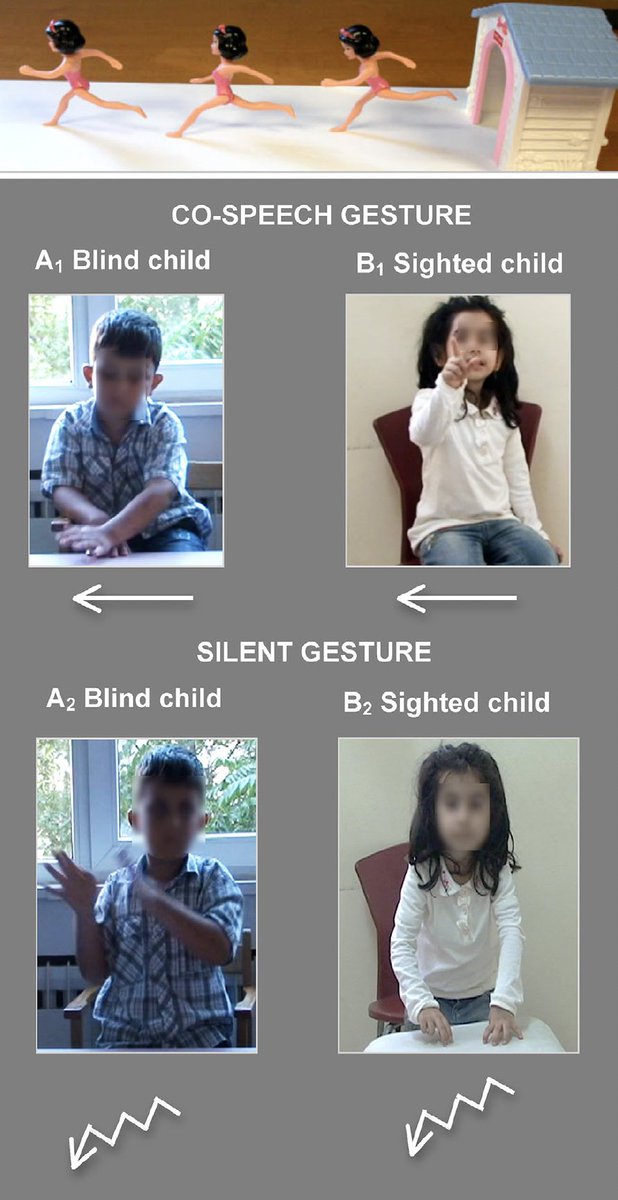Blind children gesture like sighted children-both when speaking and when not speaking #gesture #LanguageLearning #Motion #blindness

doi.org/10.1111/desc.1…