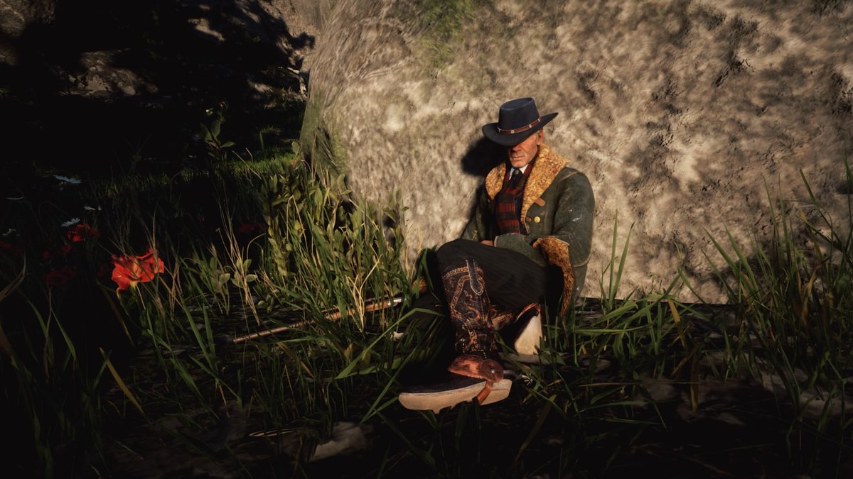 RDR2 | #PS5share