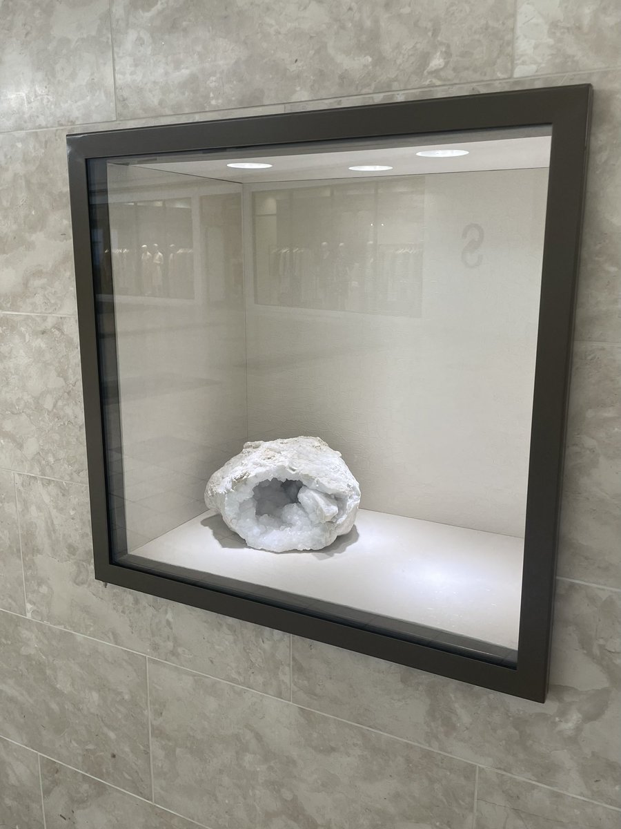 d. patrick rodgers tweet media