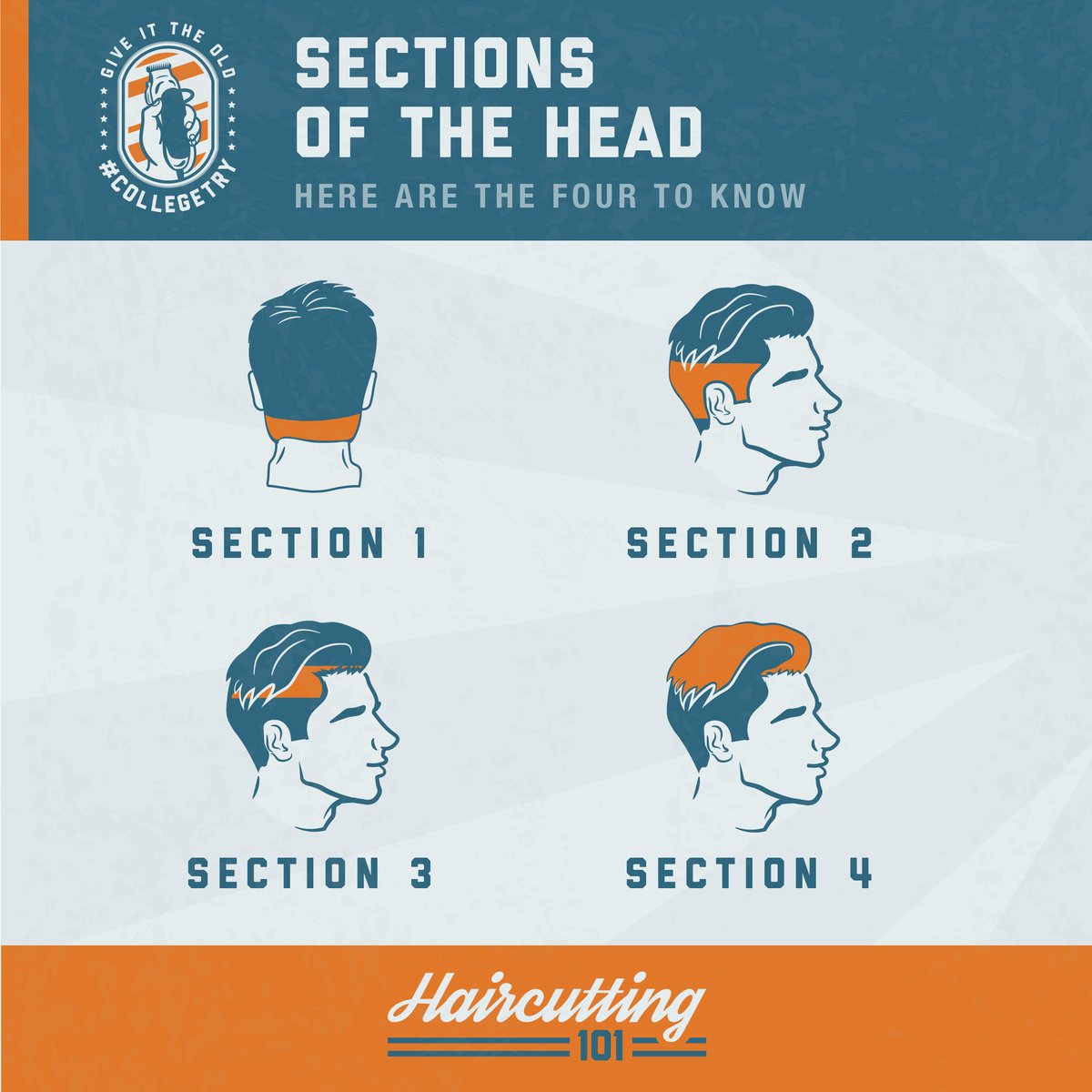 Each section of the head is treated differently when cutting hair. Here are the four to know: bit.ly/3TU7kj2 #CollegeTry
