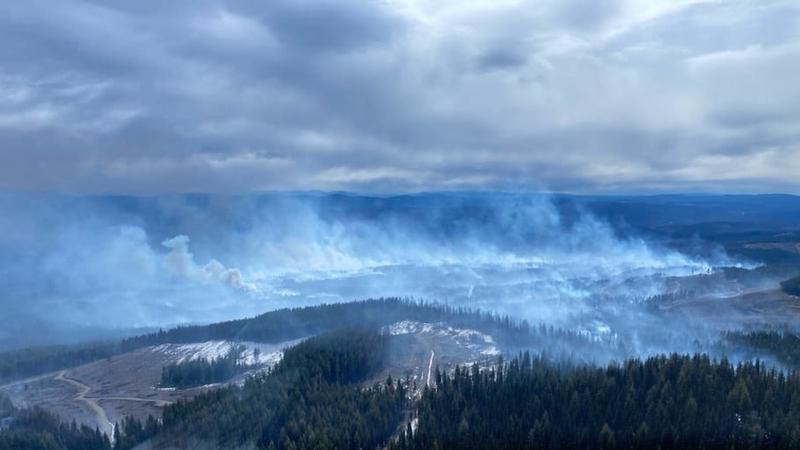 First major wildfire of 2024 grows to 1,600 ha south of Quesnel dlvr.it/T5q89x #Kamloops