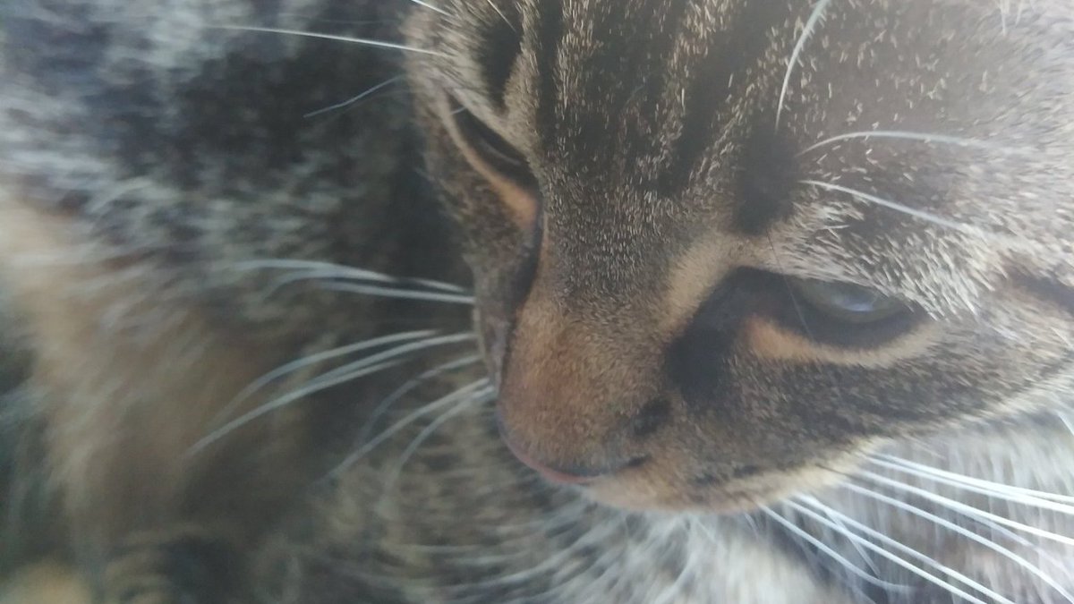 Arch_Novarias's tweet image. Day 617-618 Already did some prep work for tomorrows map, the throne room! See you then.